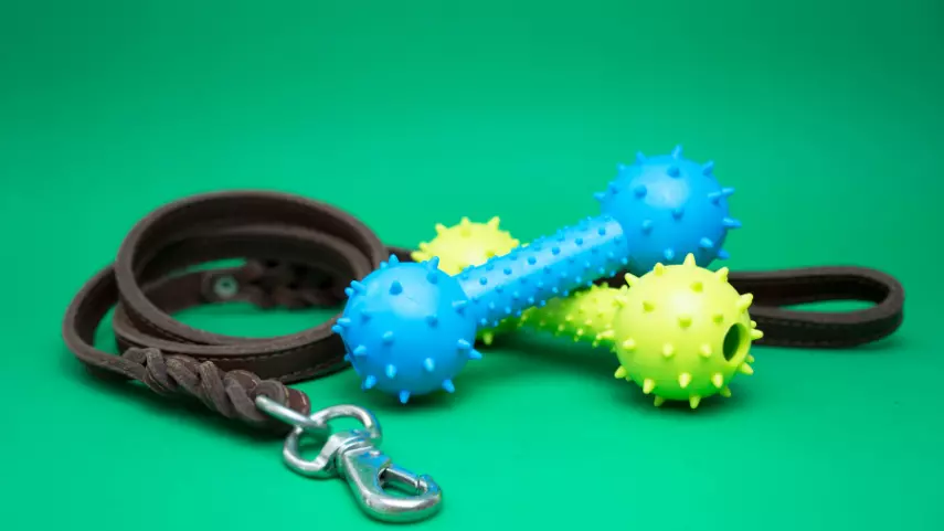 accessori per animali