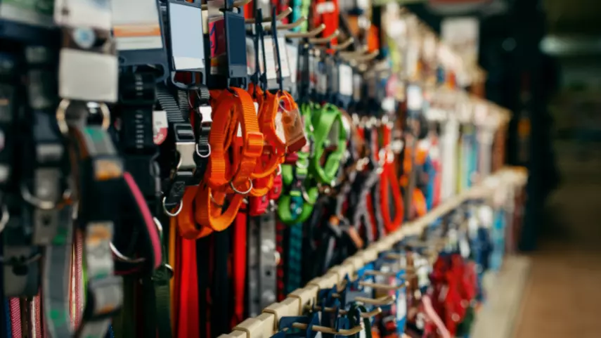branded pet accessories